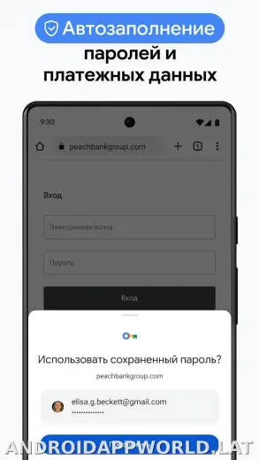 Google Chrome скриншот 6