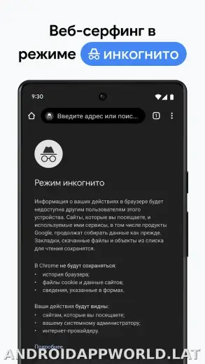 Google Chrome скриншот 3